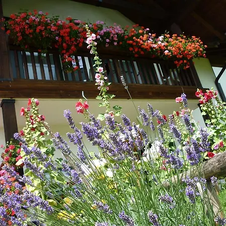 La Capannina Bed & Breakfast 3*